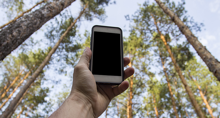 En hand håller upp en mobiltelefon i skogen. Foto.