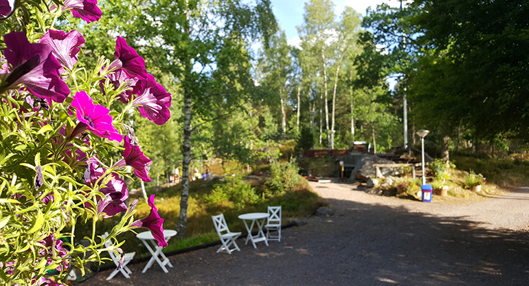 Blommor vid Sommarhemmet Alstervik. Foto.