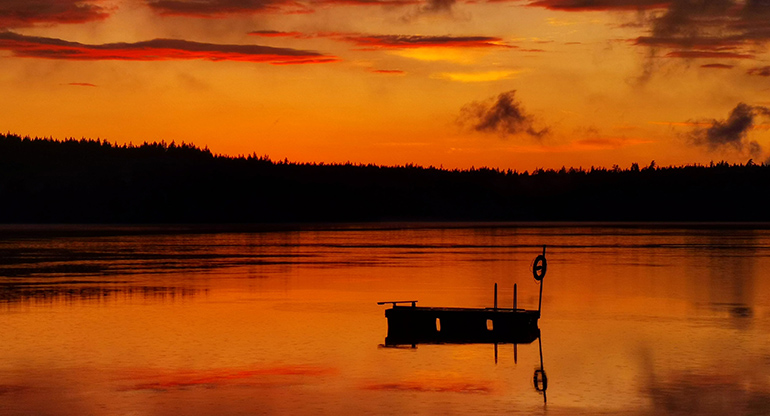 Solnedgång vid sjö. Foto.